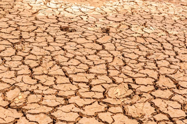 Terre sèche fissurée sans eau — Photo