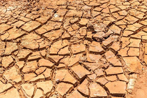 Tierra seca agrietada sin agua —  Fotos de Stock