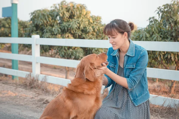 Mulher bonita com um cão bonito golden retriever — Fotografia de Stock