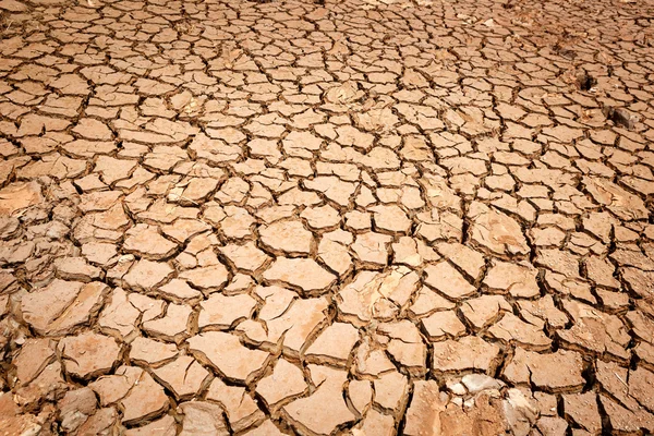 Terre sèche fissurée sans eau — Photo