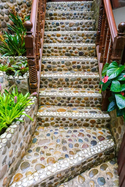 階段の石の道の庭 — ストック写真