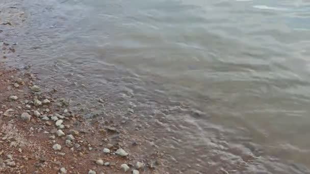 河里的水波 — 图库视频影像
