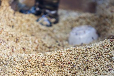 çiğ kahve çekirdekleri