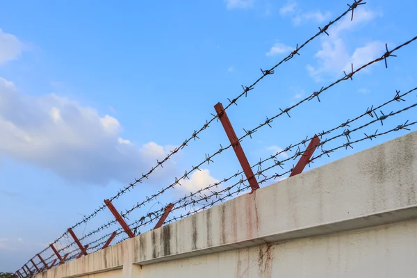 Barbed wire wall on blue sky — Stock Photo, Image