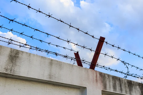 Barbed wire wall on blue sky — Stock Photo, Image