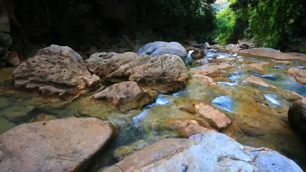 Beautiful clear stream — Stock Video