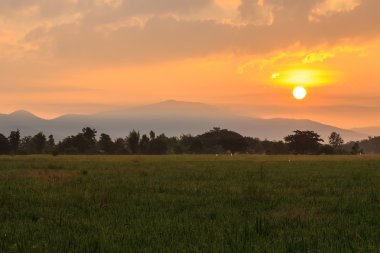 güzel turuncu günbatımı