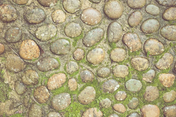 Pedra padrão chão — Fotografia de Stock