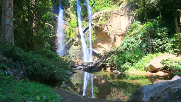 Bella foresta con una montagna e una cascata — Video Stock