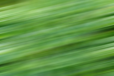 Abstract blur background