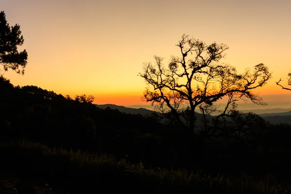 Sunset natur sky — Stockfoto
