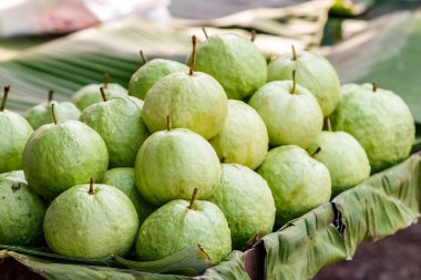 Muz izinli yeşil guava