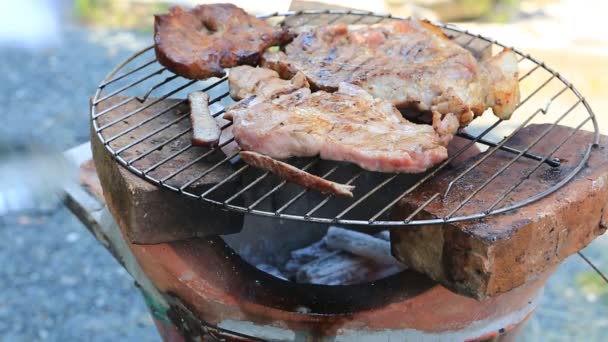 Carne na grelha e fogo — Vídeo de Stock