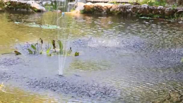 Pequena fonte no lago — Vídeo de Stock