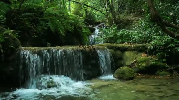 Vodopád v thajské národní park — Stock video