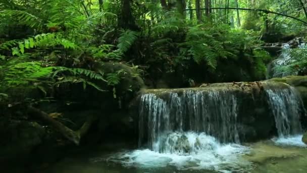 Wasserfall im thailändischen Nationalpark — Stockvideo