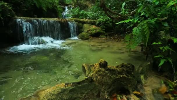 cascade dans le parc national thaïlandais 