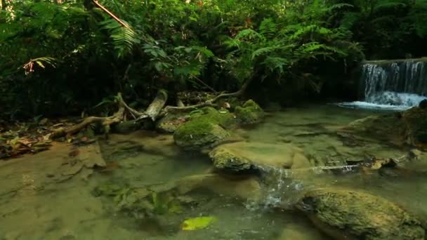 Cascada en el parque nacional tailandés — Vídeos de Stock