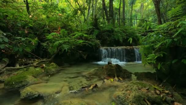 Waterfall in thai national park — Stock Video
