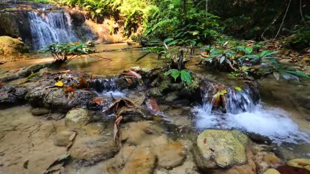 Waterfall in thai national park — Stock Video