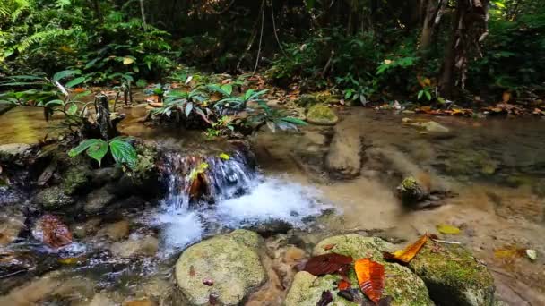 Cascada en el parque nacional tailandés — Vídeo de stock