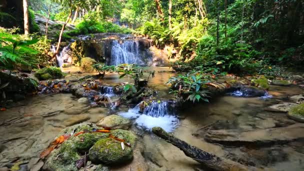 Vattenfall i thailändska national park — Stockvideo