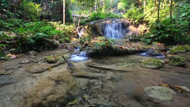 Waterfall in thai national park — Stock Video