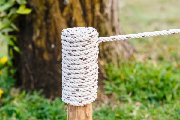 Touw knoop op hout in tuin — Stockfoto