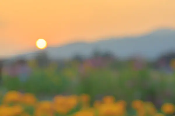 Zonsondergang met bloem op wazig scène — Stockfoto