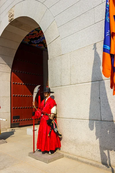 Guardia de pie en la puerta de entrada — Foto de Stock