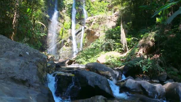 Pesce nella cascata di Khor Louang — Video Stock