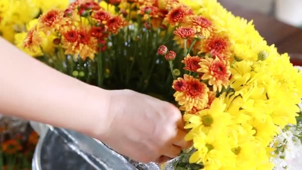 Mujer preparando ramo de flores — Vídeo de stock