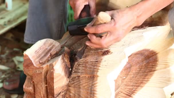 Hand of carver carving wood — Stock Video
