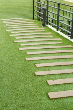 merdiven suni çim ile ahşap 