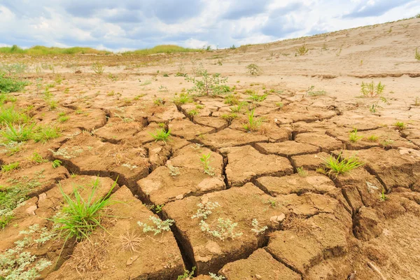 Oppervlakte barst van de bodem in aride gebied — Stockfoto