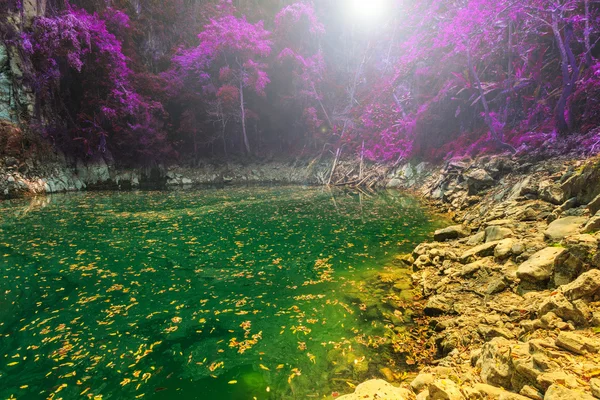 Wonderful crater lagoon in thailand — Stock Photo, Image