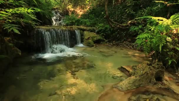 Maravillosa cascada en Tailandia — Vídeos de Stock