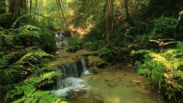 Wonderful waterfall in thailand — Stock Video