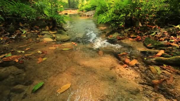 Maravillosa cascada en Tailandia — Vídeo de stock