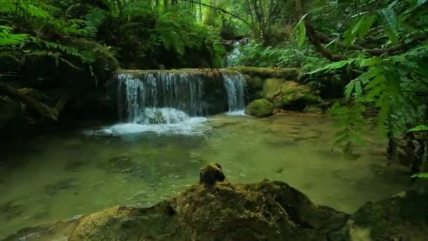 Wonderful waterfall in thailand — Stock Video