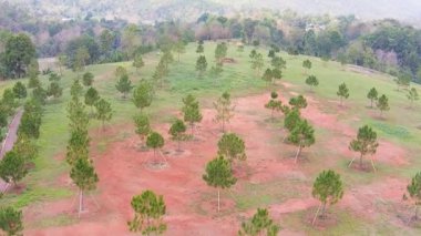 Orman ve dağlar alanında