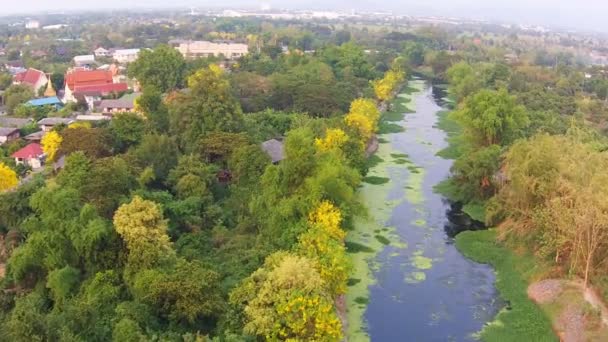 Fluss in der Stadt Lamphun — Stockvideo