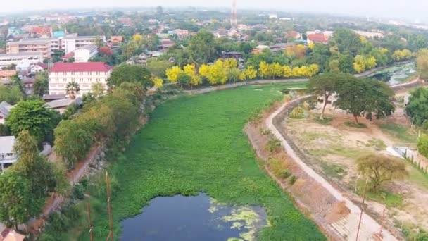 Fluss in der Stadt Lamphun — Stockvideo