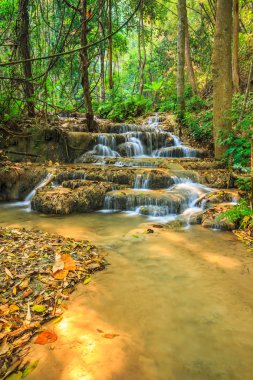 Tayland harika şelale
