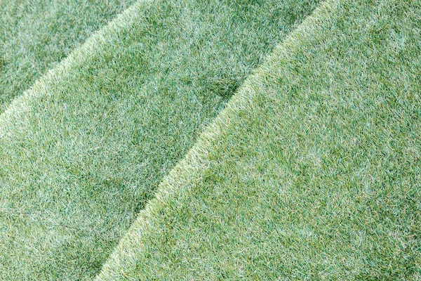 Staircase artificial grass — Stock Photo, Image