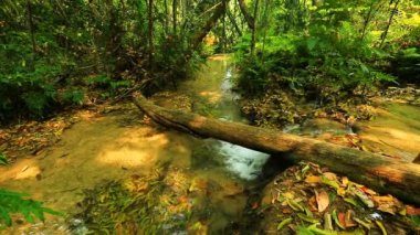 Tayland harika şelale