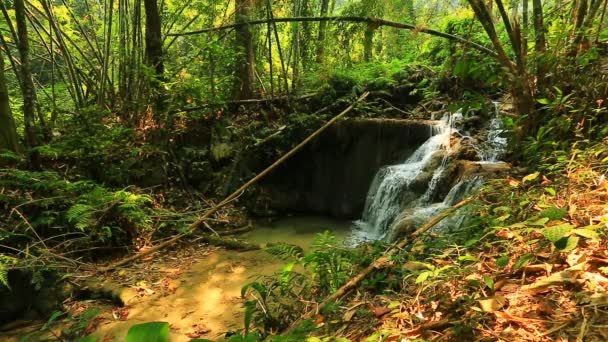 Maravillosa cascada en Tailandia — Vídeo de stock