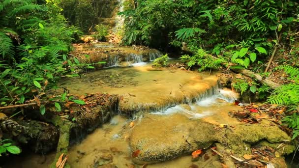 Maravilhosa cachoeira na Tailândia — Vídeo de Stock