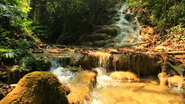 Wonderful waterfall in Thailand — Stock Video