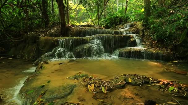 Magnifique cascade en Thaïlande — Video